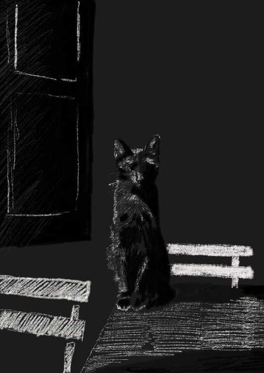 My Black Beautiful Cat