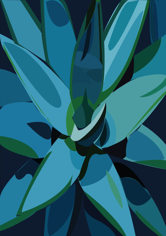 Succulents Blue Agave Cactus Succulents