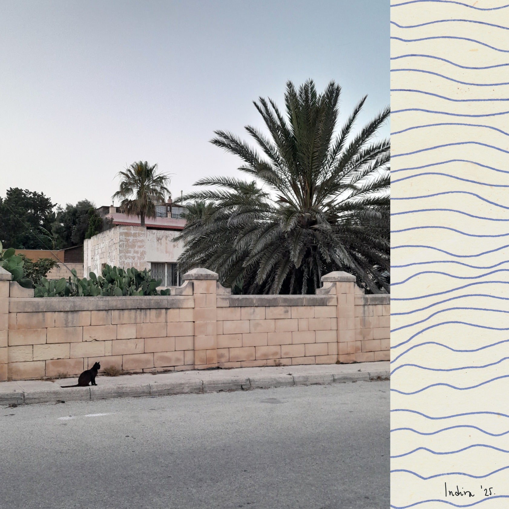 Two white butterflies