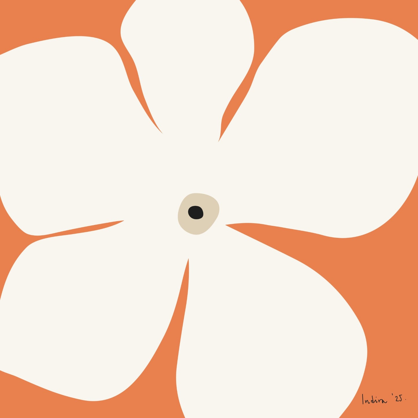 Butterfly dance on rain