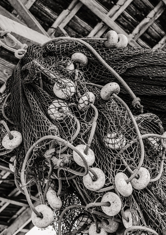 Fishing Net