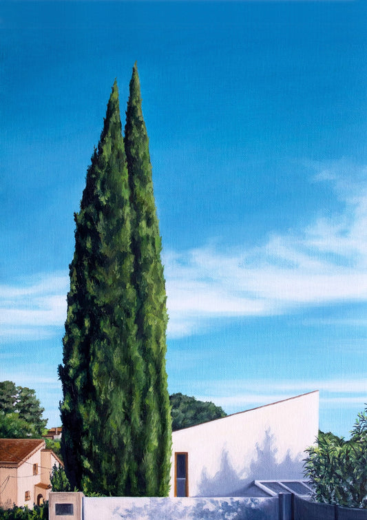 Cypress Trees, South of France