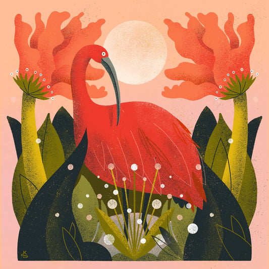 Scarlet Ibis