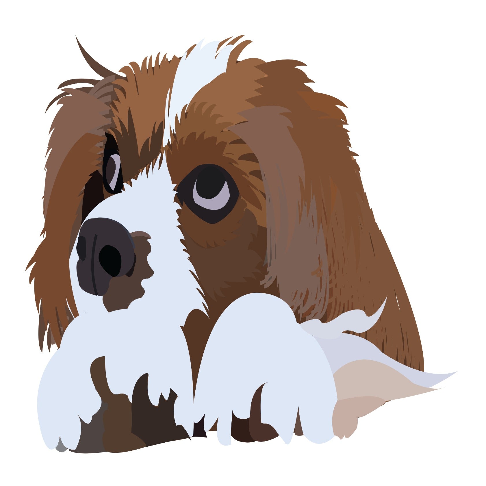 Cavalier King Charles Spaniel Dog