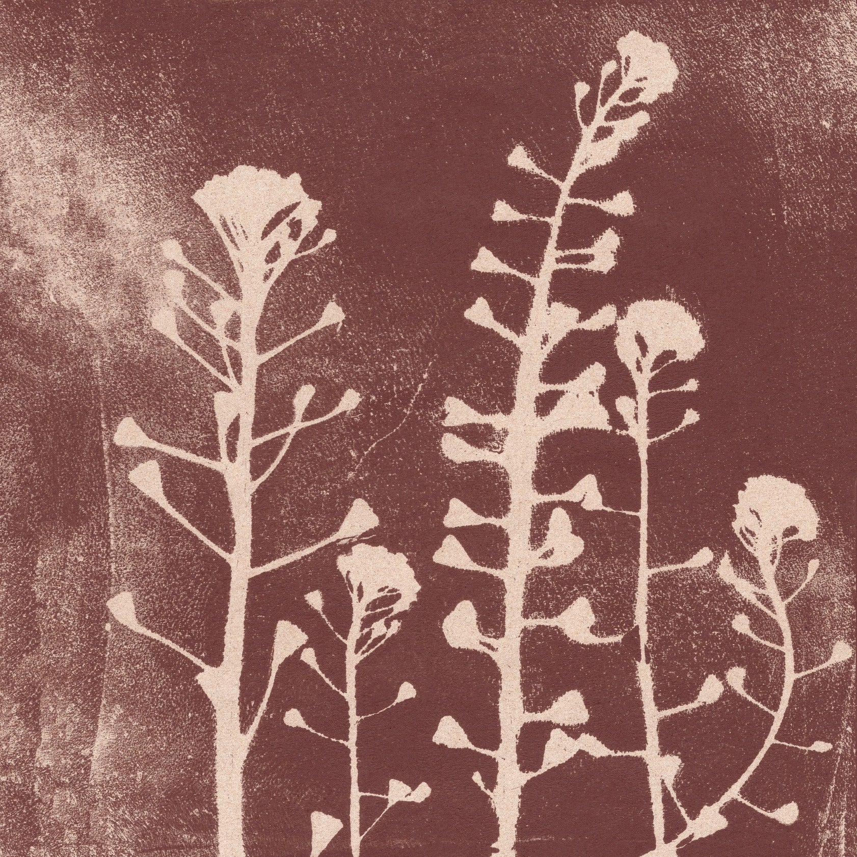 Meadow flowers. Modern botanical art in white and warm brown.