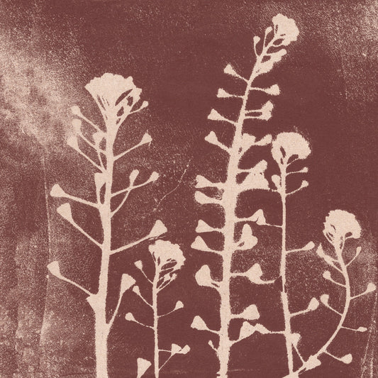 Meadow flowers. Modern botanical art in white and warm brown.