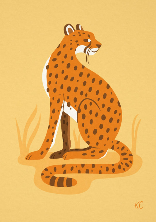 Cheetah