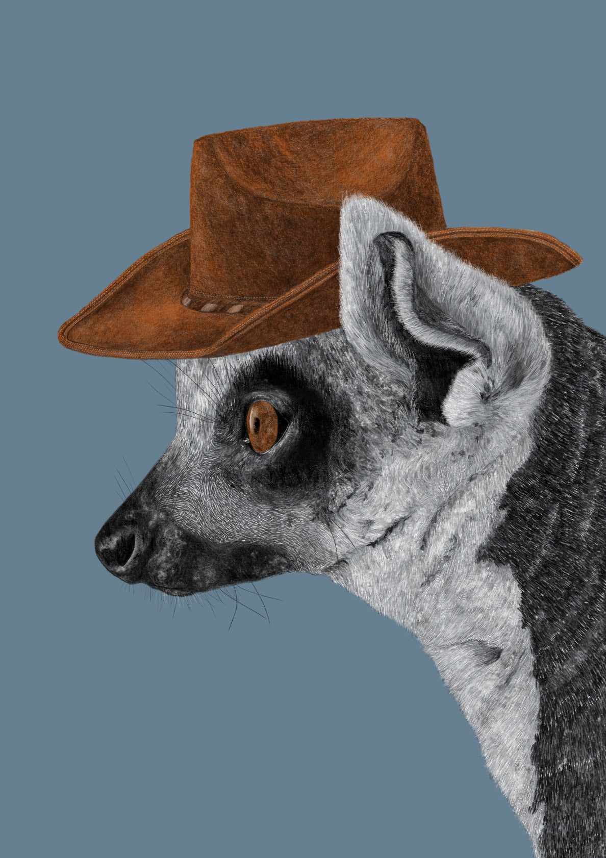 Felix The Cowboy Lemur