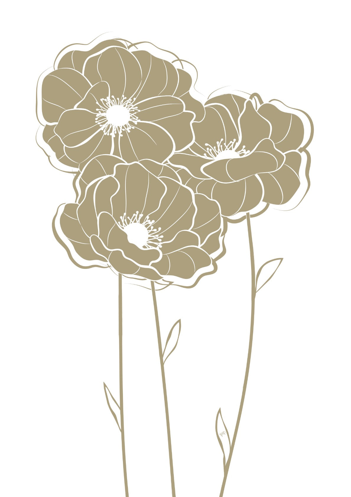 Beige Nordic poppy flowers