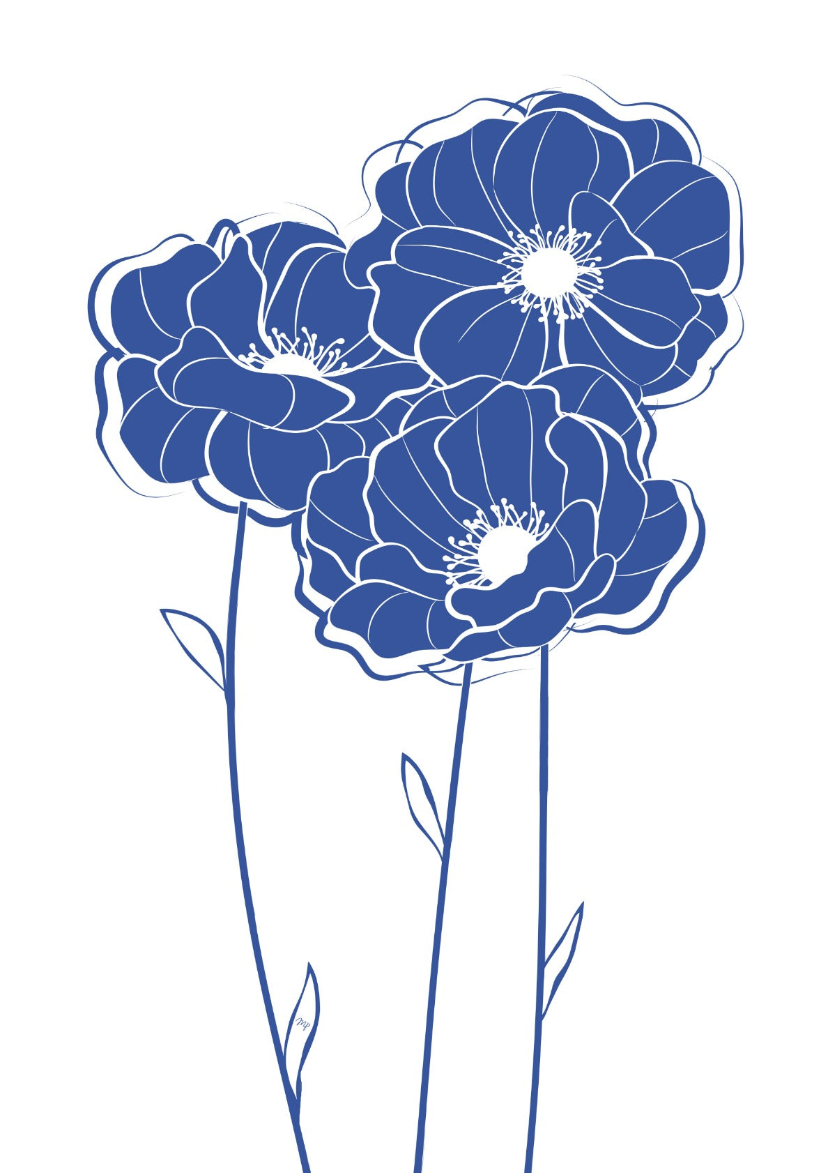 Blue poppy flowers