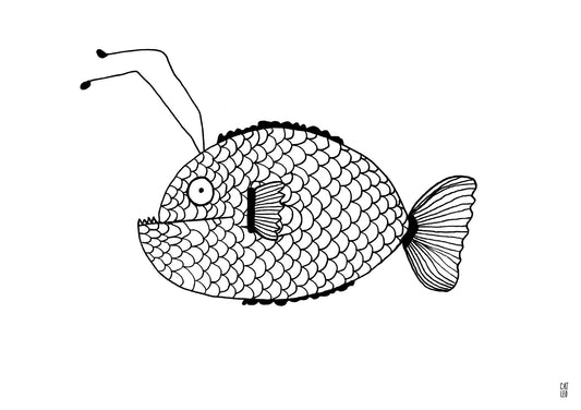 Fish Pipa