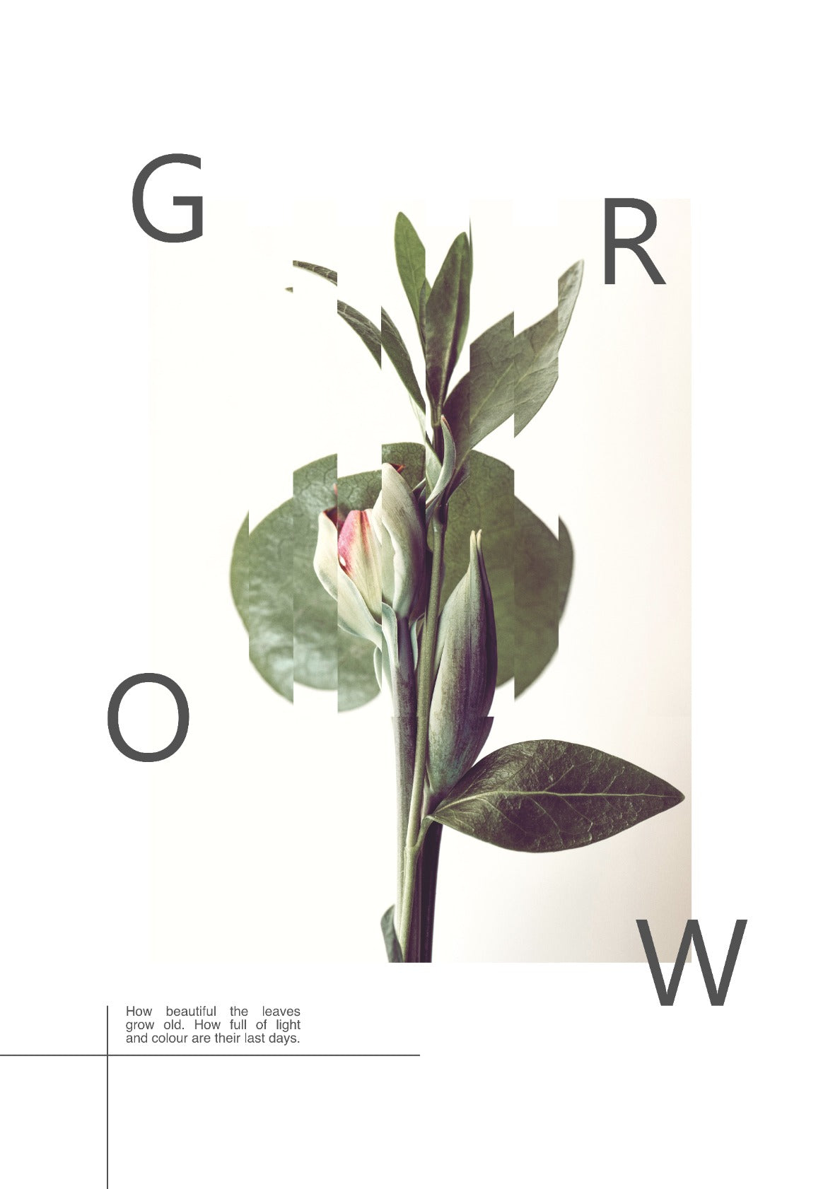 Grow