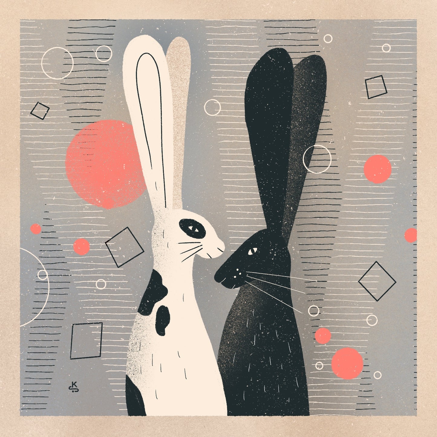 Black and white rabbit 