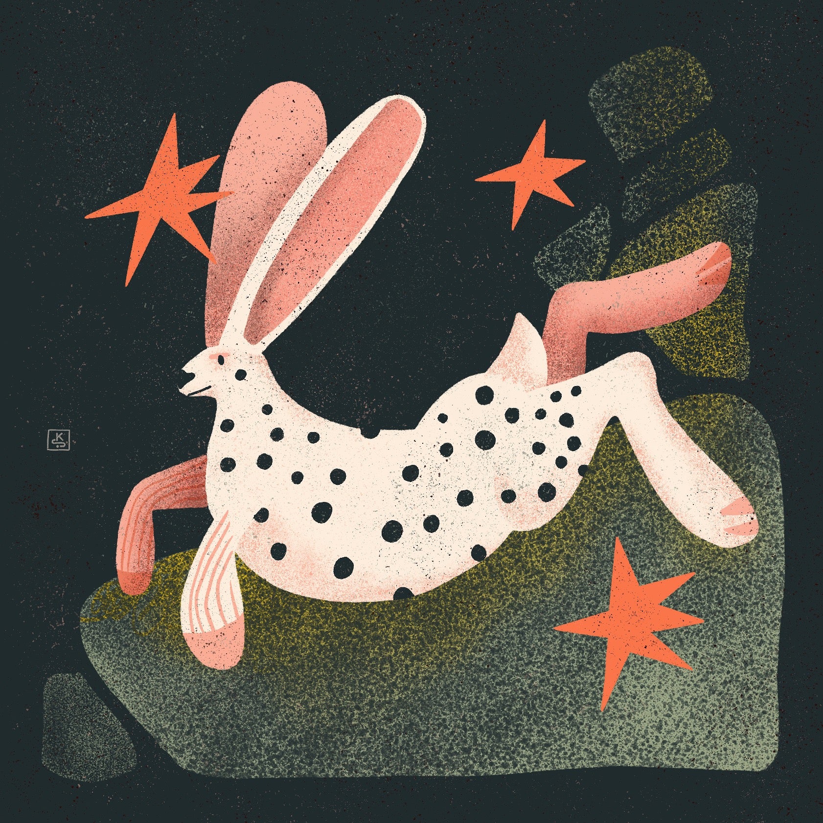 Black dotted white rabbit