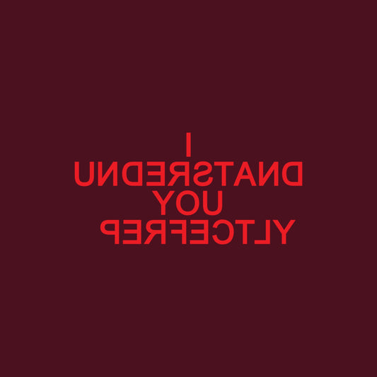 I Understand You Perfectly: Part II