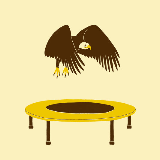 Eagle On A Trampoline