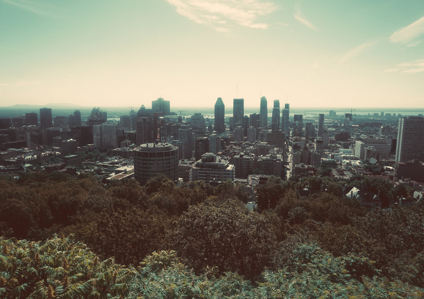 Mount Royal