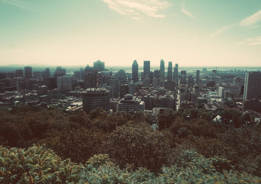 Mount Royal