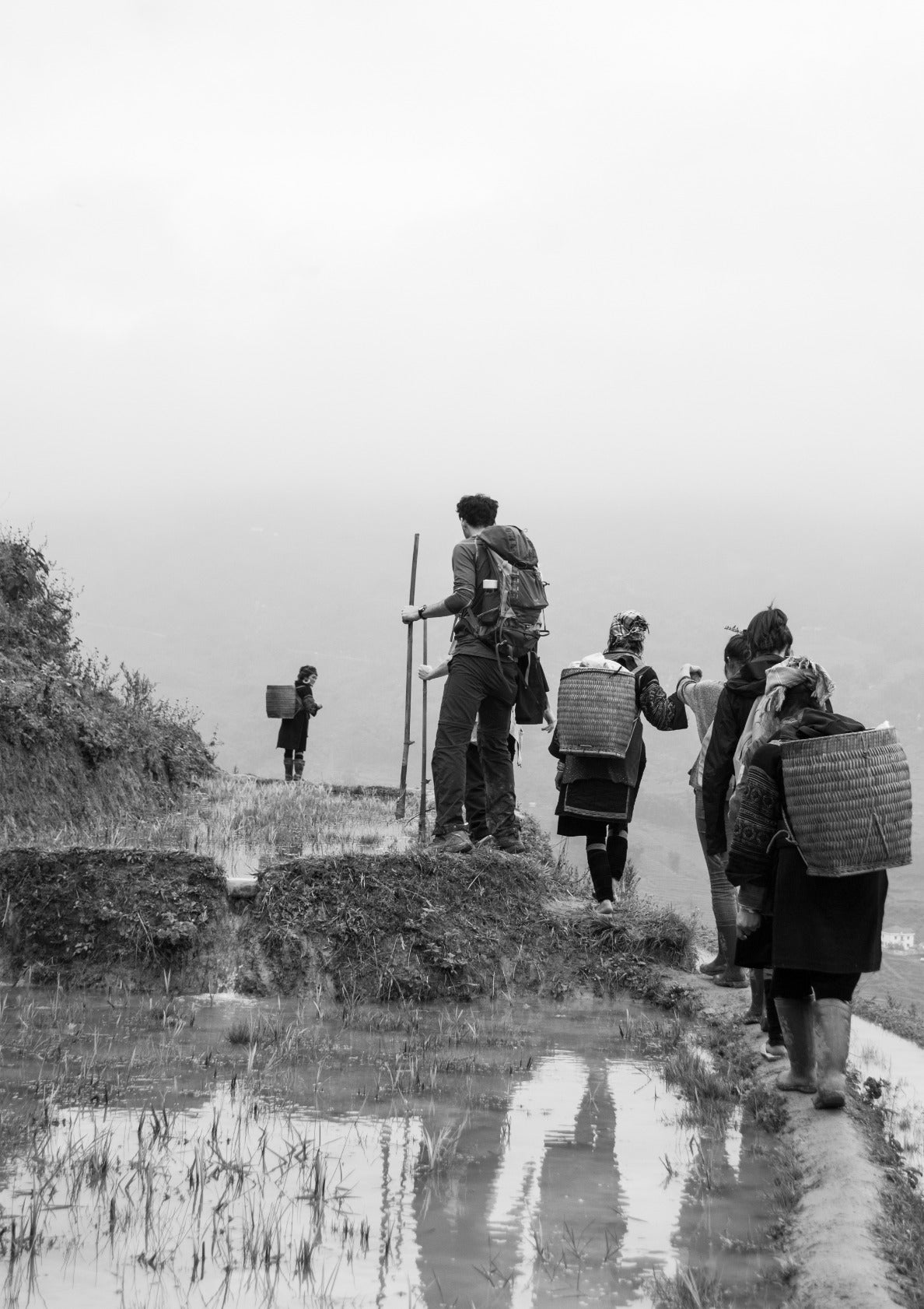 Through the rice terrace