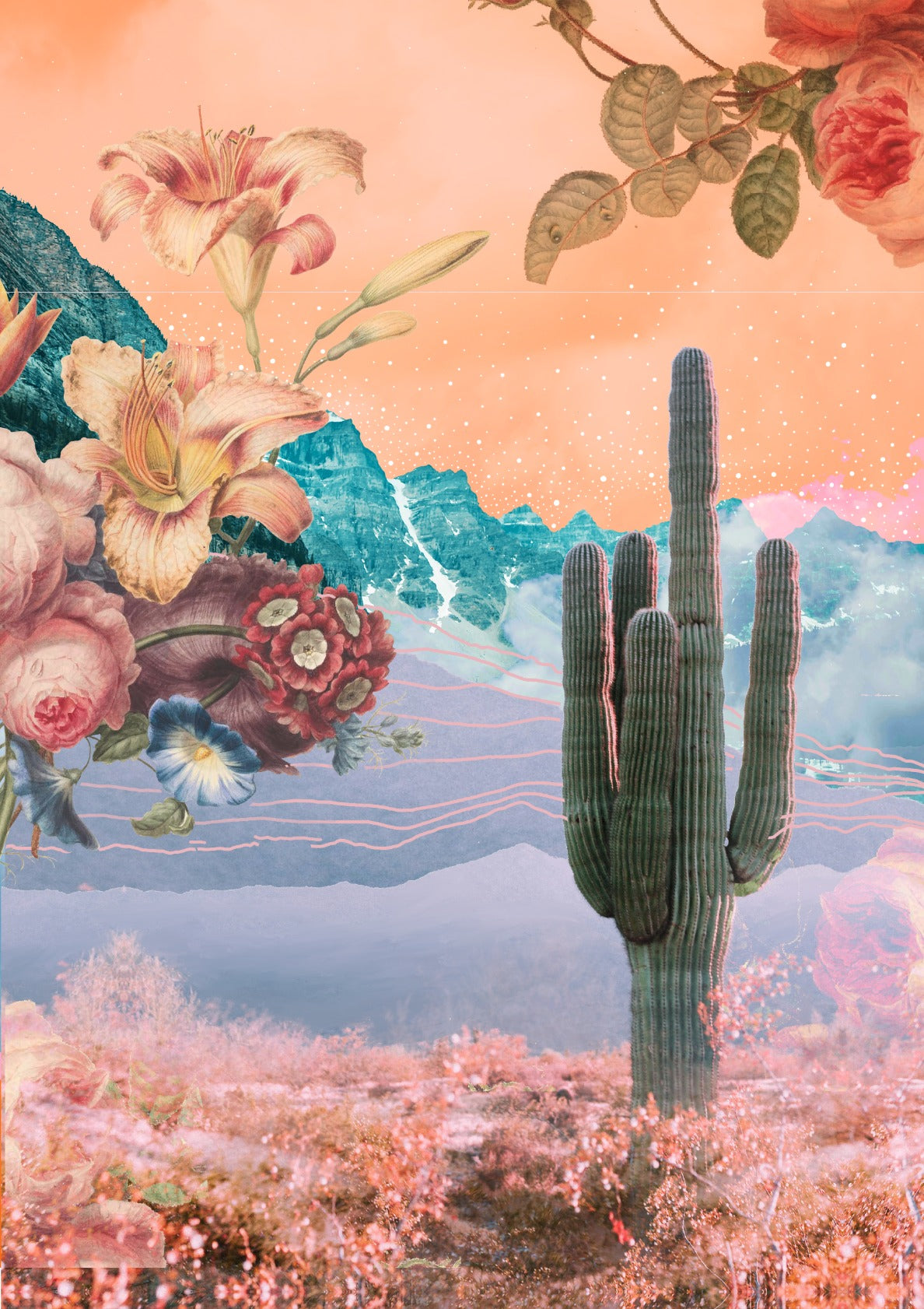 Desert Bloom