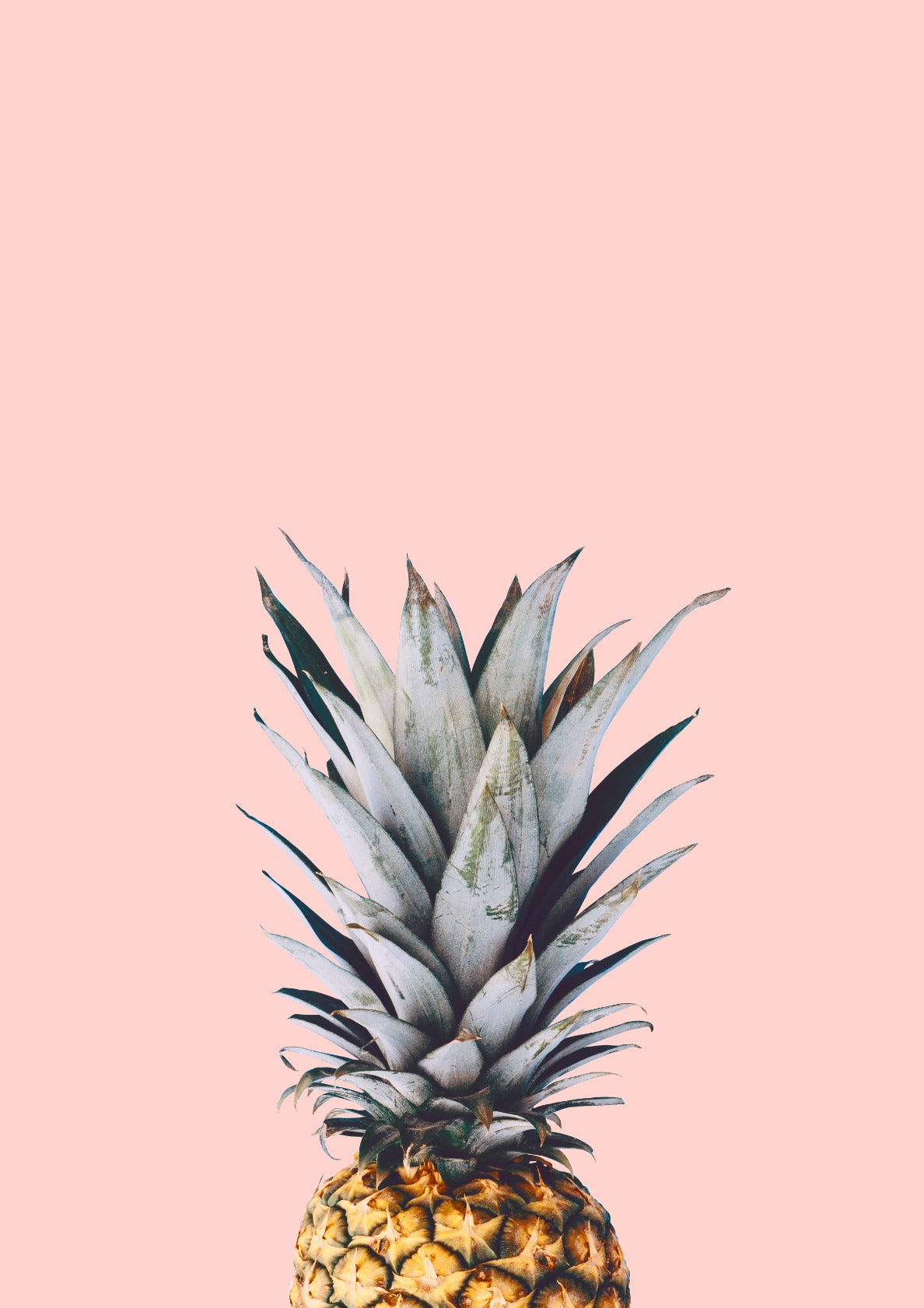 Pineapple on a pink background