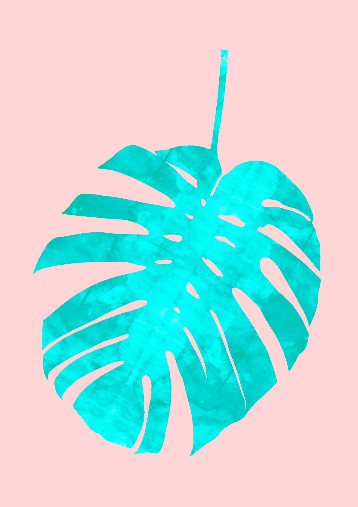 Tropical leaf