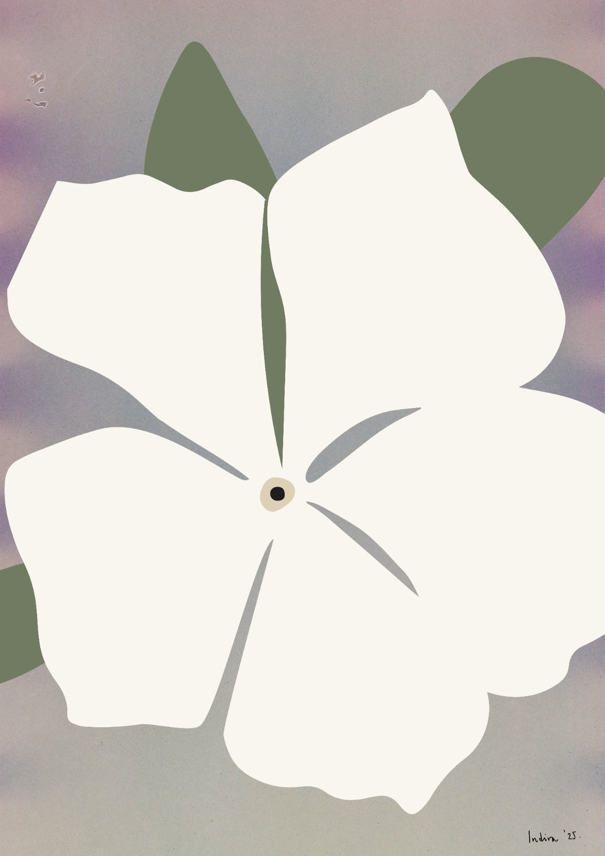 Sicilian jasmine on pink