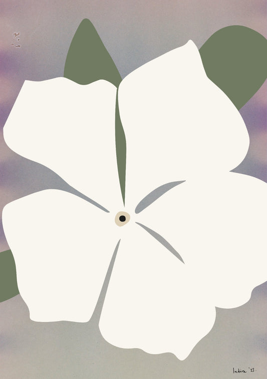 Sicilian jasmine on pink