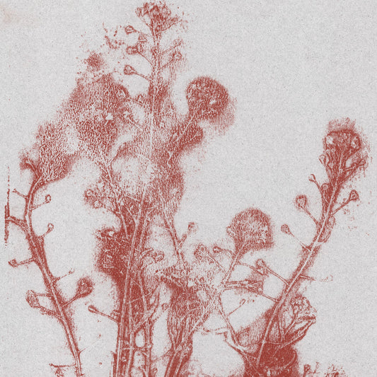 Summer flowers in warm red.