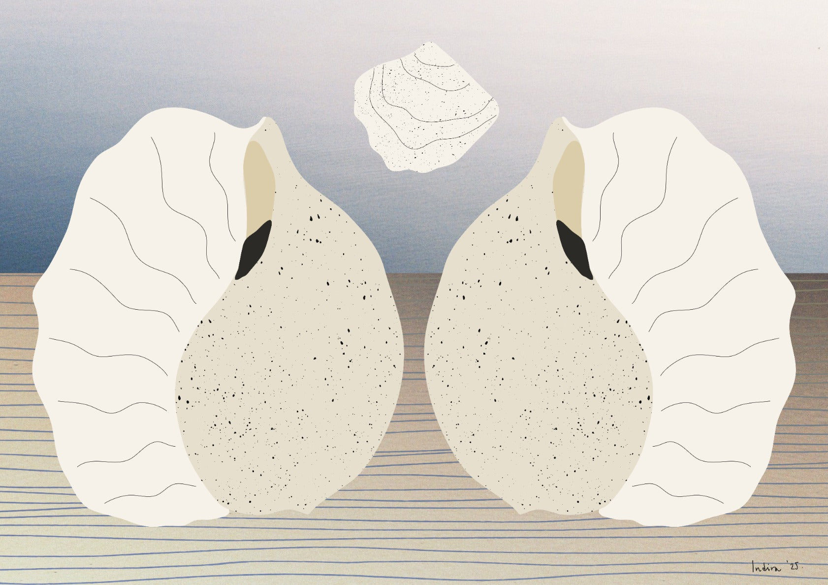 Seashell and a dancing seagrass