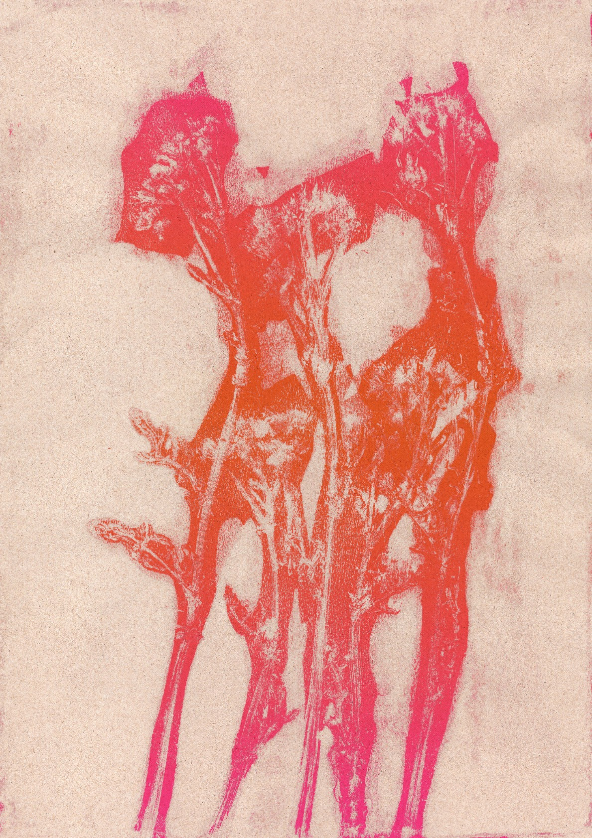 Summer flowers in neon orange and pink.