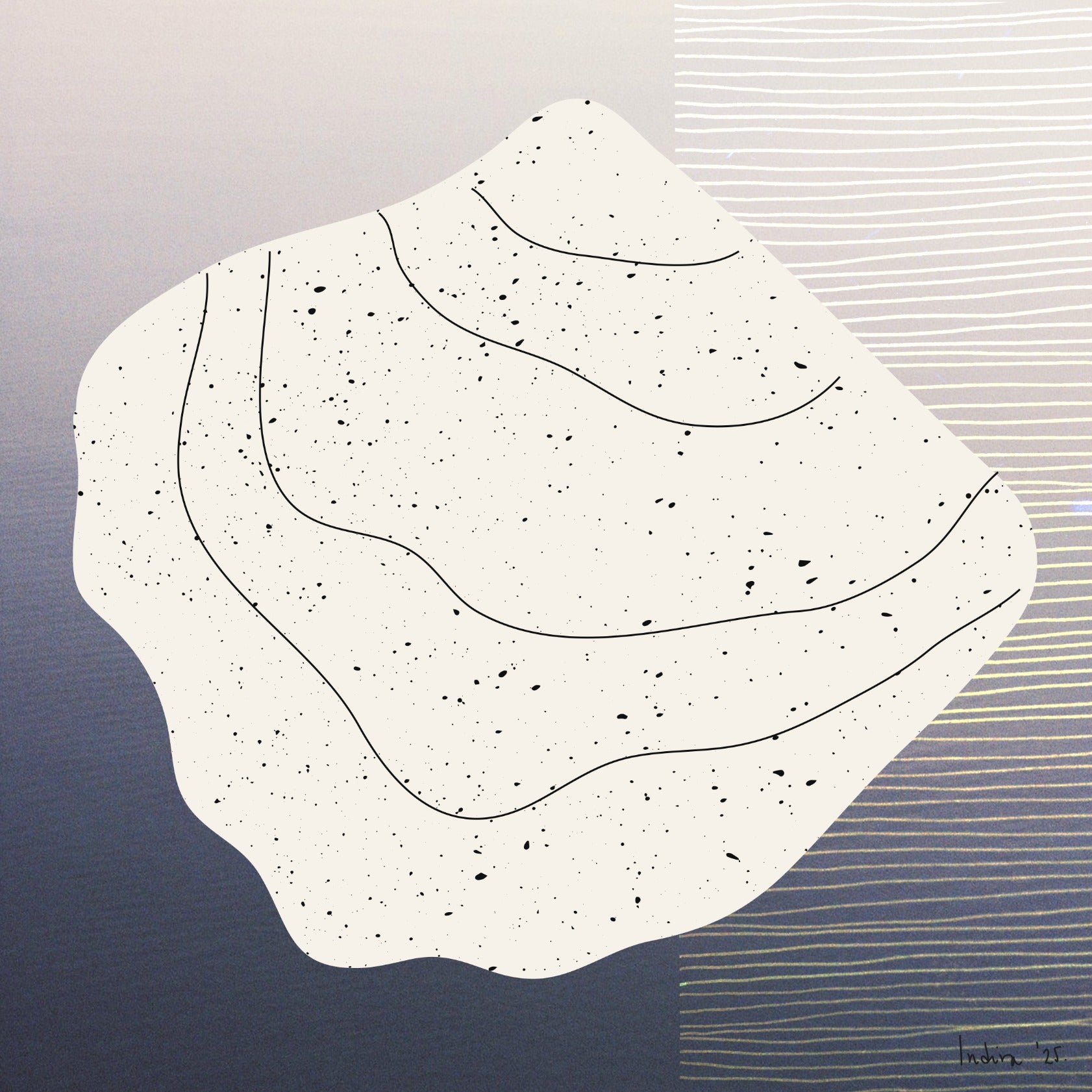 Seashell with dark dots