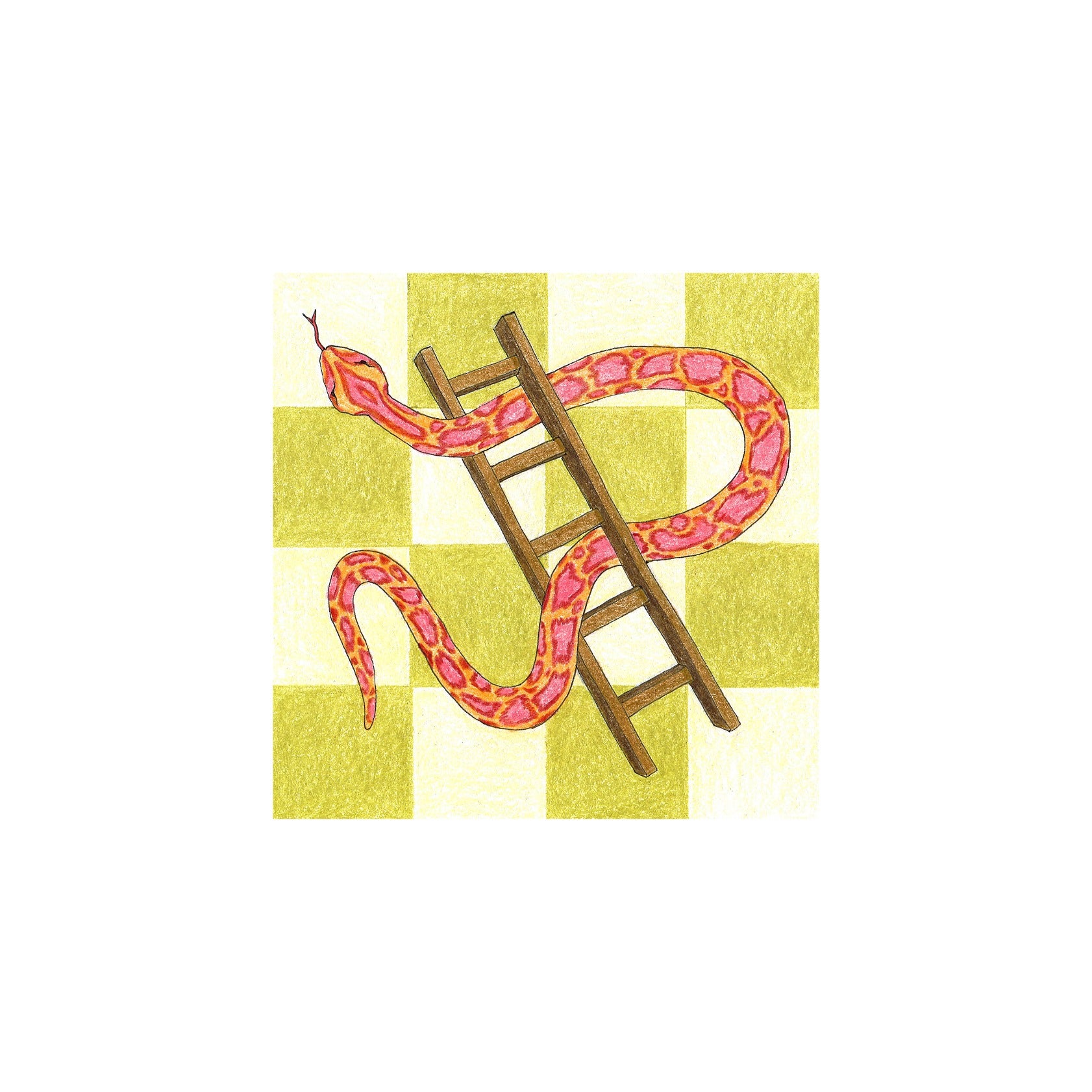 Snake & Ladder