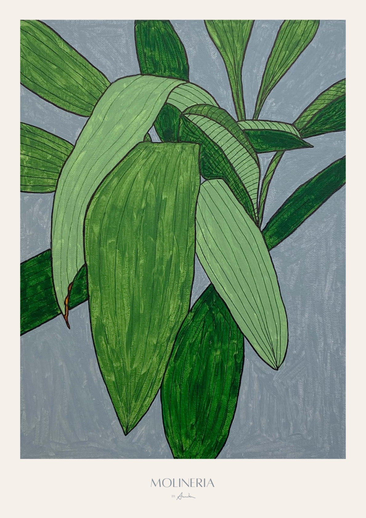 Molineria – Lush Green Botanical Art