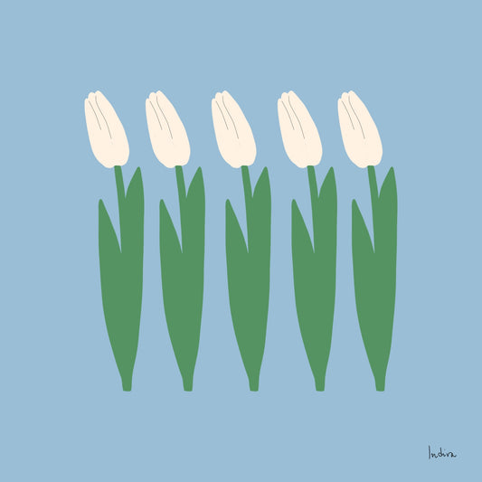 Five white tulips
