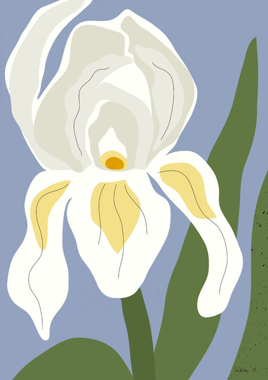 Field of pink tulips