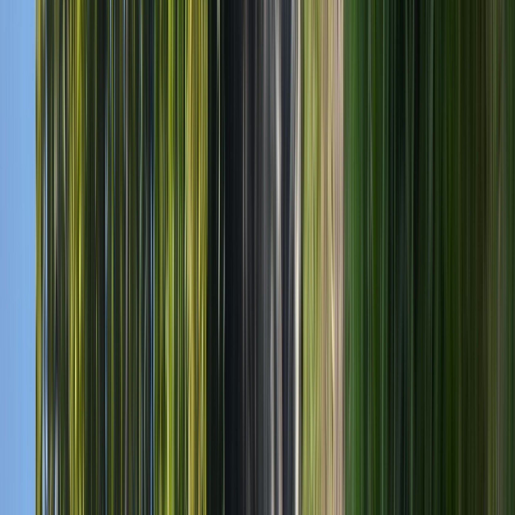 the stripes of the day · green