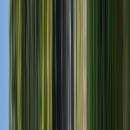 the stripes of the day · green