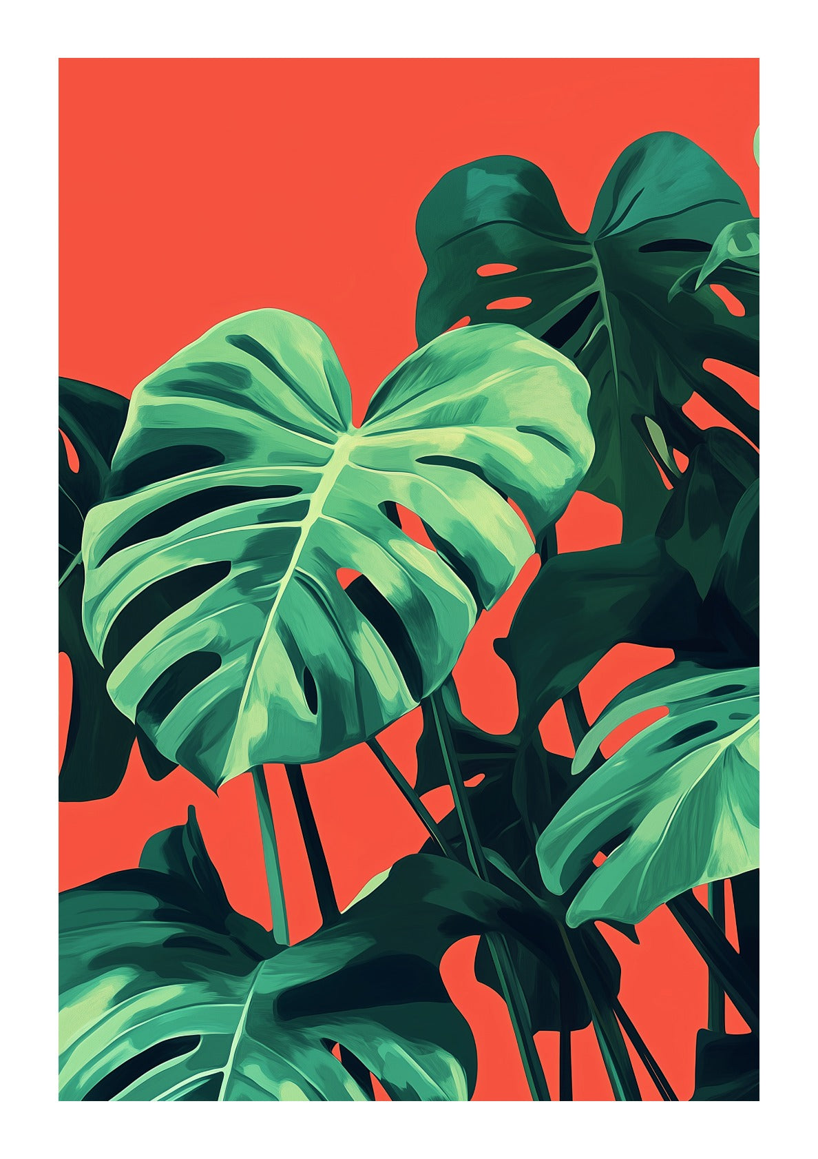 Tropical Monstera Leaves