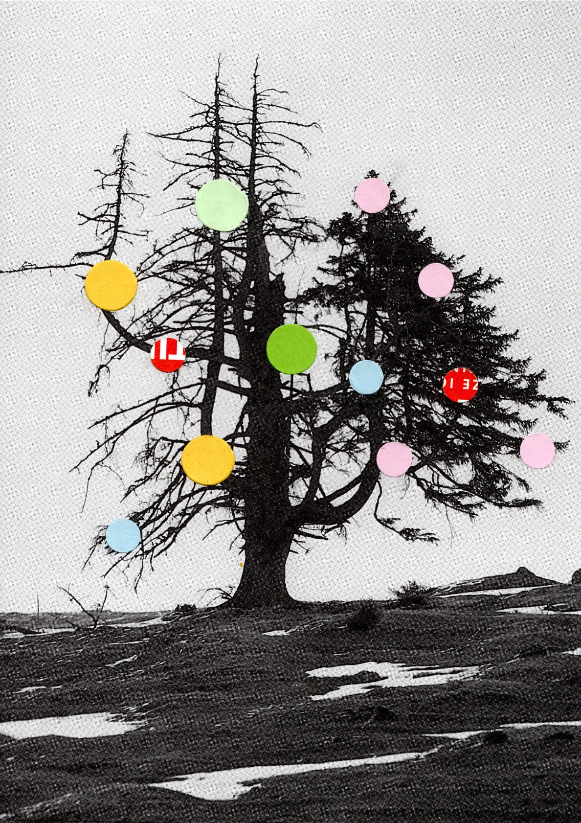 bautraum · last colordrops