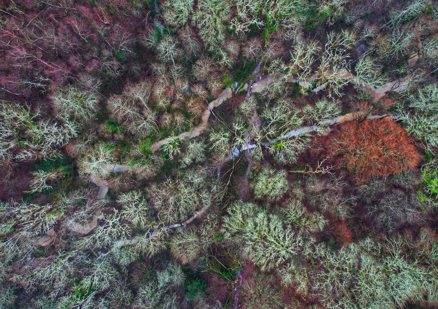 The day after Christmas