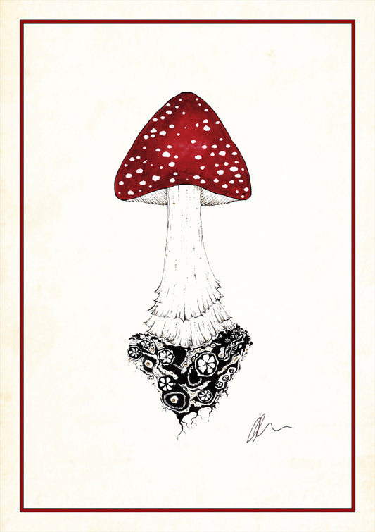 Fly Agaric Mushroom