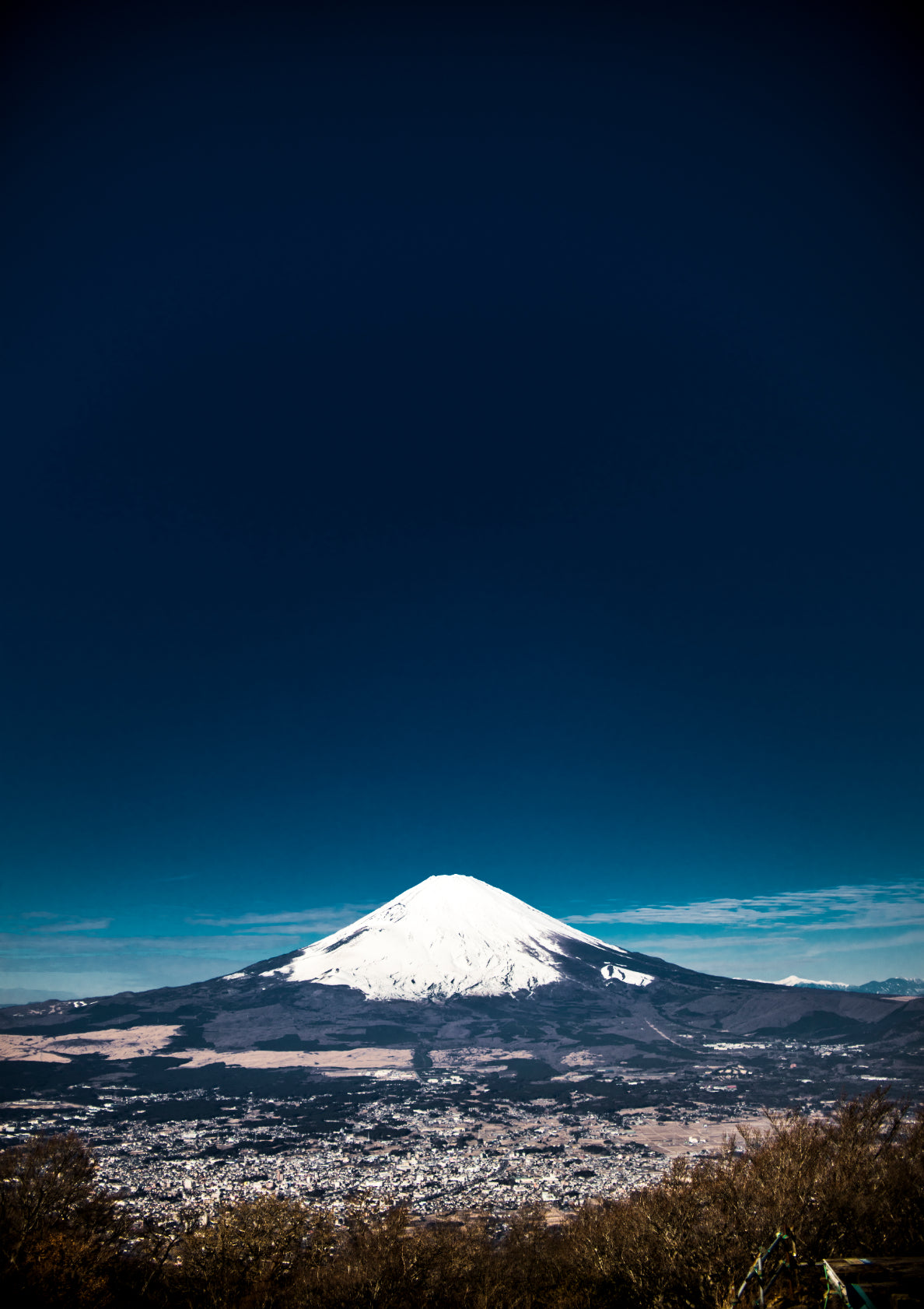 Blue Fuji