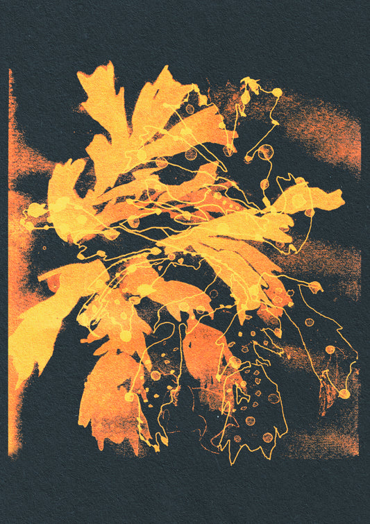 Desert Flora Series 003