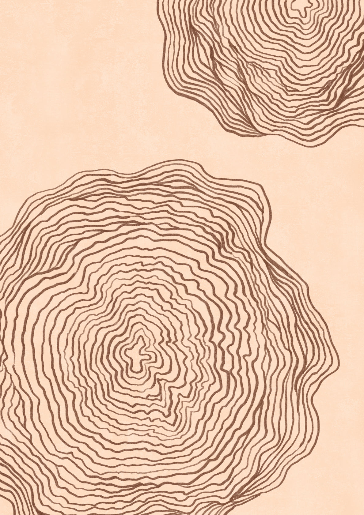 Trees Have Stories 01