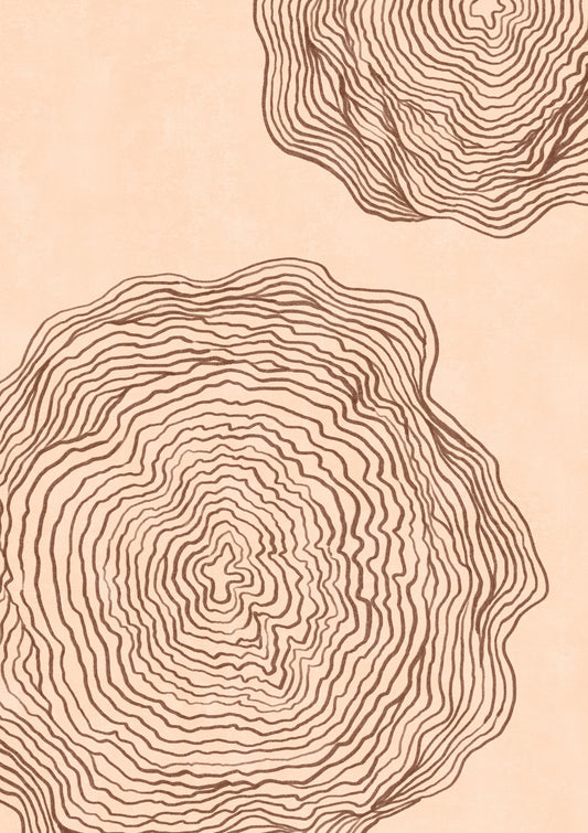 Trees Have Stories 01