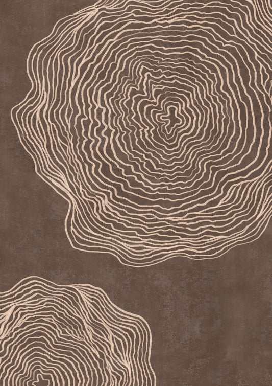 Trees Have Stories 02