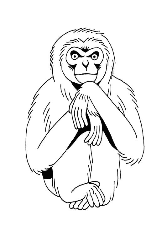 Gibbon