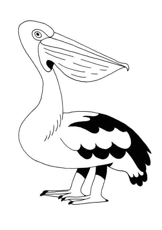 Pelican