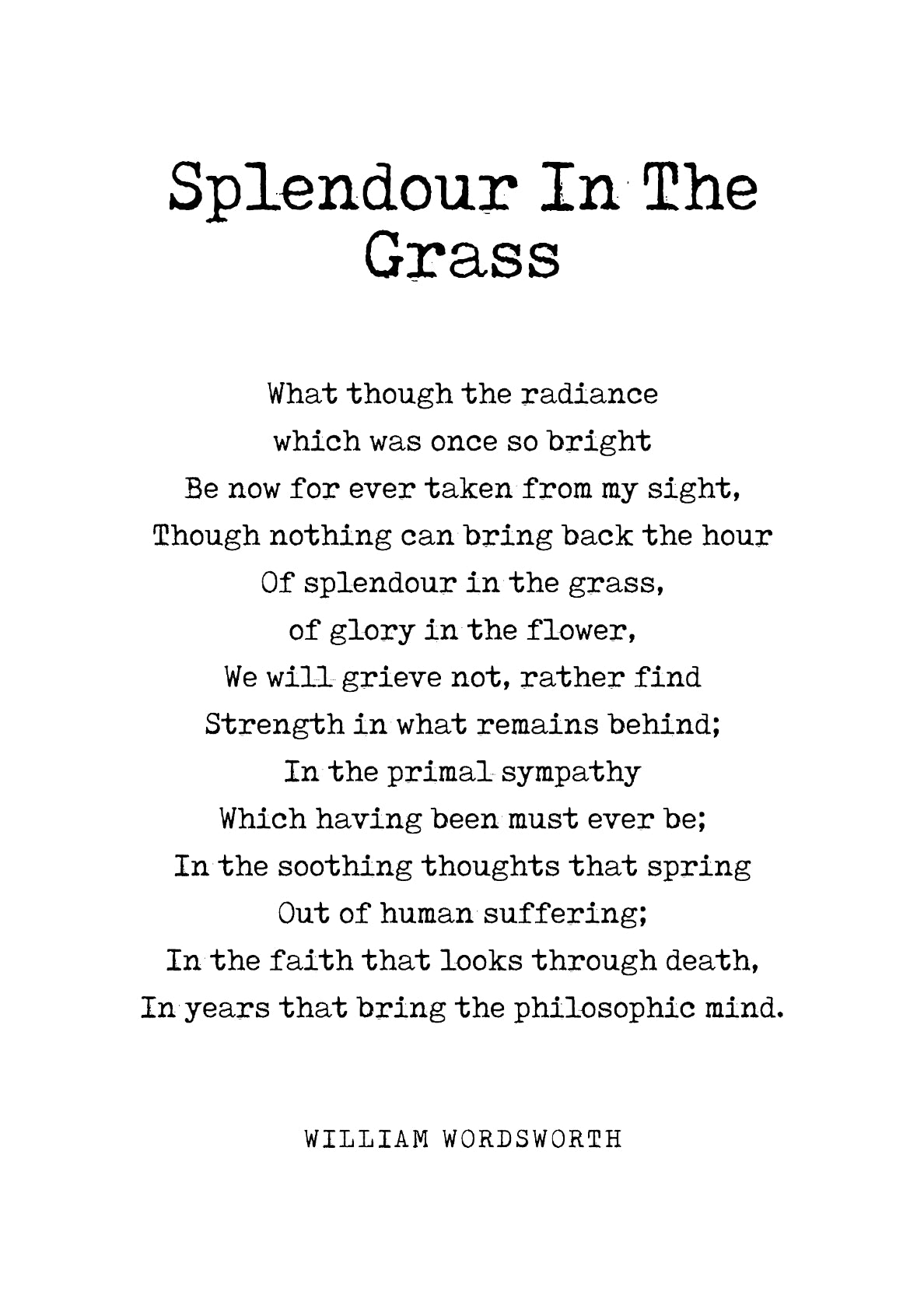 Splendour In The Grass 01